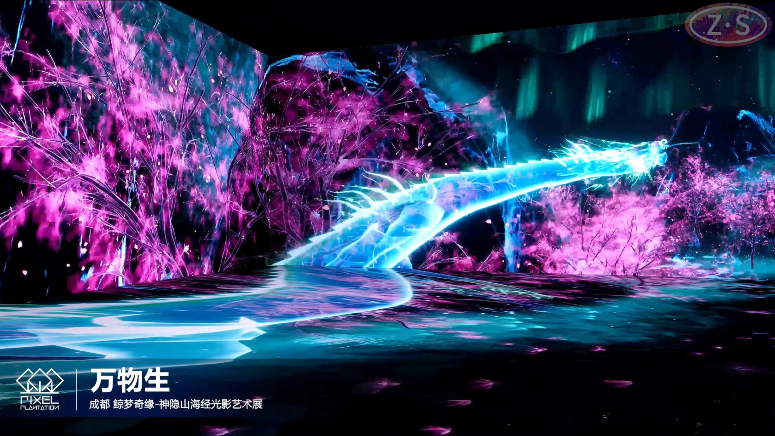 Gallery-Interactive Projector and Interactive Projection Solutions Supplier